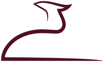 داداپوش
