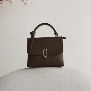 کیف دلاریس